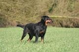 BEAUCERON 1015